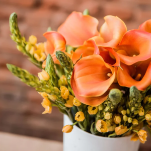 Tropical Flower Fusion